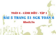 Bài 5 trang 51 SGK Toán 6 tập 1 Cánh Diều